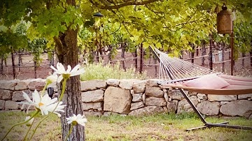 Thumbnail of Enchanted - Mars Lasar - Karma