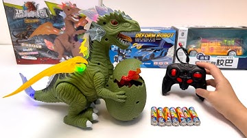 Unboxing Remote-Controlled Transformable Robot Car,School Bus,Electric Dinosaur,Unboxing Toy RC Car 