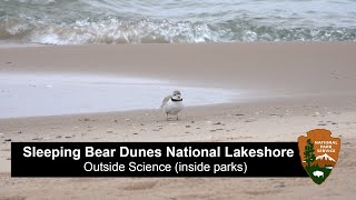 Outside Science (inside parks): Protecting Piping Plover at Sleeping Bear Dunes NL (Audio Described)