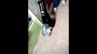 Bissell Powerforce Powerbrush Carpet Cleaner
