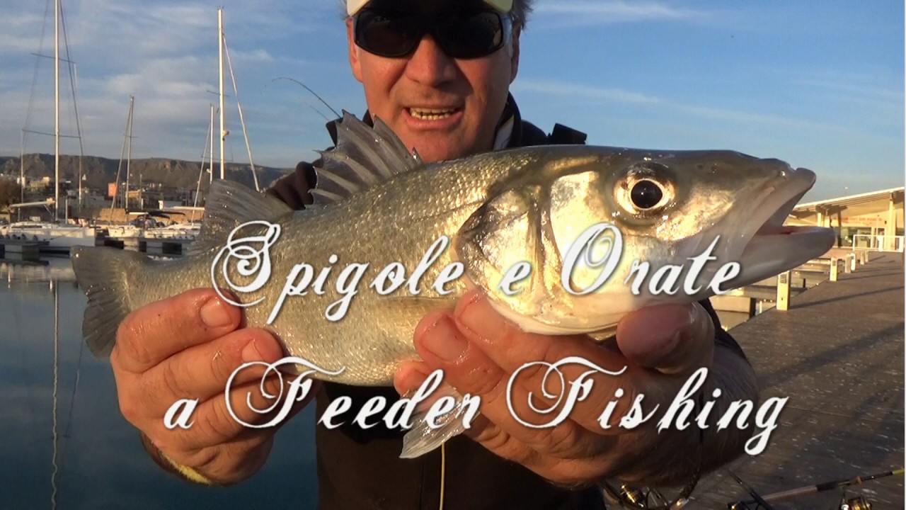 COME PESCARE SPIGOLE E ORATE A FEEDER FISHING