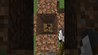 Kitten Got Stucked #minecraft #hindigaming #shorts