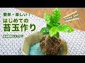 【お家でカンタン！】かわいい苔玉の作り方をご紹介します！