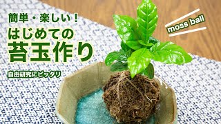 【お家でカンタン！】かわいい苔玉の作り方をご紹介します！