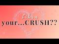 Libra ♎ | Your Crush Has Feelings For You… And You’re About To Find Out | No Communication