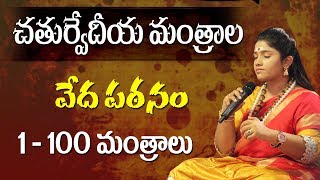 চতুর্বেদ মন্ত্রের জপ || 1 থেকে 100 || 20350 বেদ মন্ত্র || পর্ব-১ || রামানানন্দ মহর্ষি