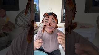 Download Lagu Aduh ada kecoa di wajahku MP3