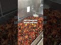 Live Crawfish Are Back!