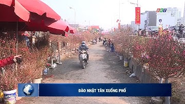 Thông tin thị trường ngày 25/12/2021 | BRTgo