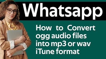 Convert WhatsApp Audio  Ogg into Mp3 Wav  iTunes  format