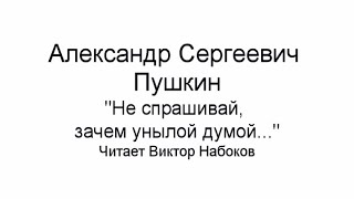 Не спрашивай, зачем унылой думой