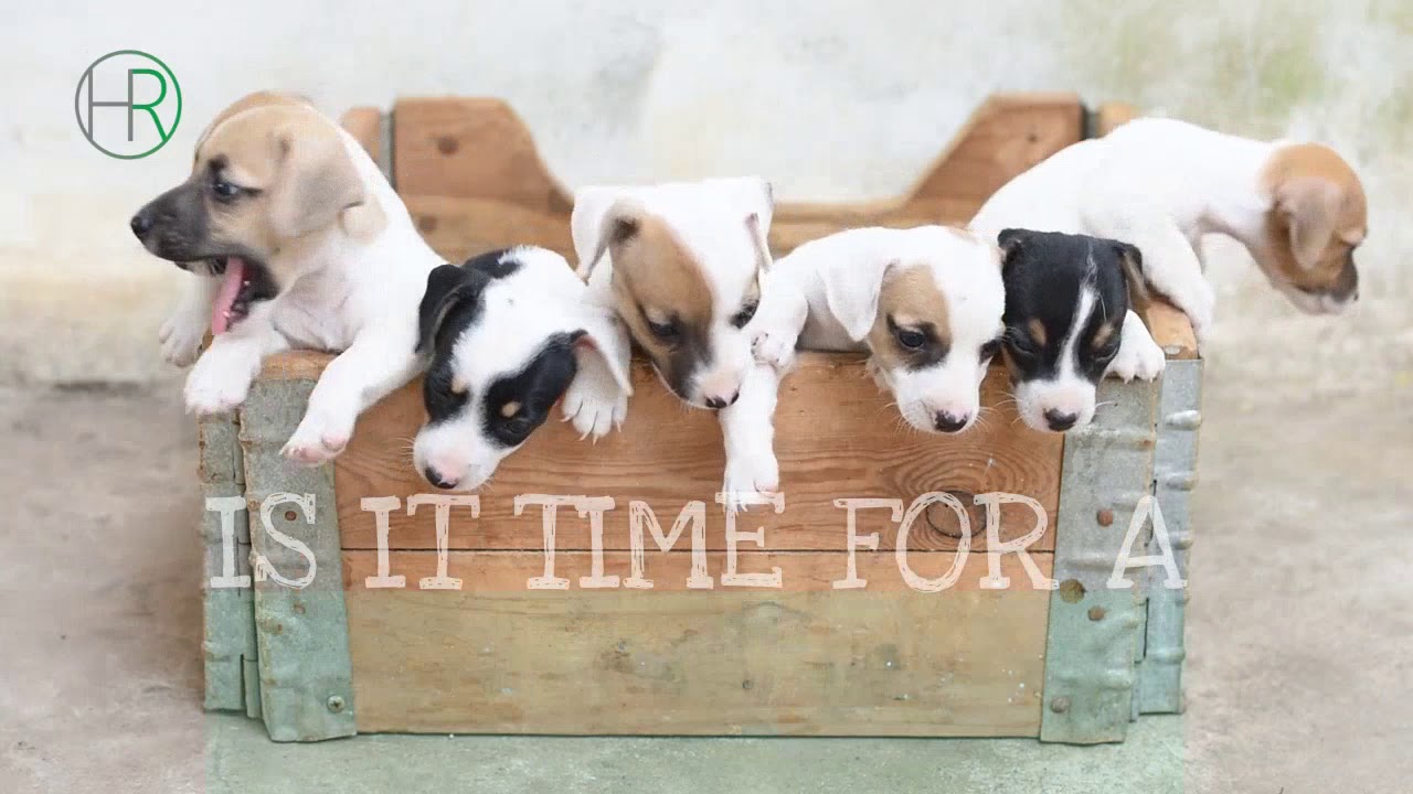 real estate Evergreen CO - evergreen Colorado real estate what is mountain living? Orson Hill Realty