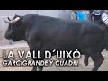 TORO DE CASI 800 KILOS QUE DOBLÓ LOS BARROTES / LA VALL D´UIXÓ - S. ANTONI ABAD 21/05/2016