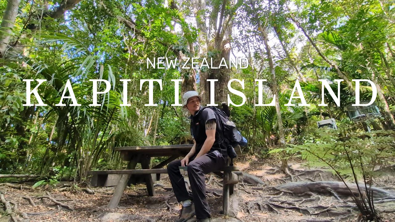 Kapiti Island | New Zealand's Bird Sanctuary | North Island