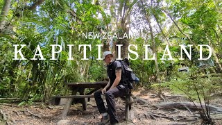 Kapiti Island | New Zealand's Bird Sanctuary | North Island