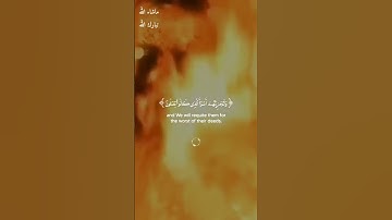 وقال الذين كفروا لا تسمعوا لهذا القرآن والغوا فيه لعلكم تغلبون /سورة فصلت / القارئ ابراهيم شرف