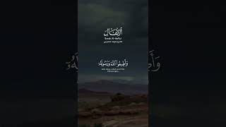 يسألونك عن الأنفال قل الأنفال لله والرسول فاتقوا الله وأصلحوا ذات بينكم | القارىء خليفة الطنيجي