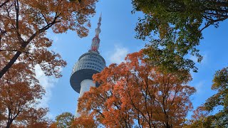 Beautiful Walking Tour Around Namsan Tower | 28 Oct 2024 | Autumn Leaves | 4K Video
