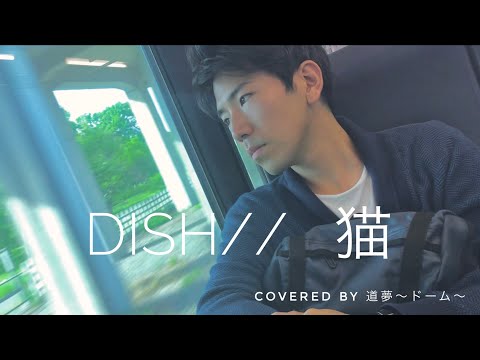 【 人気曲cover 】DISH//猫　THE FIRST TAKE ver. covered by 双陽マサヤ【初MIX】