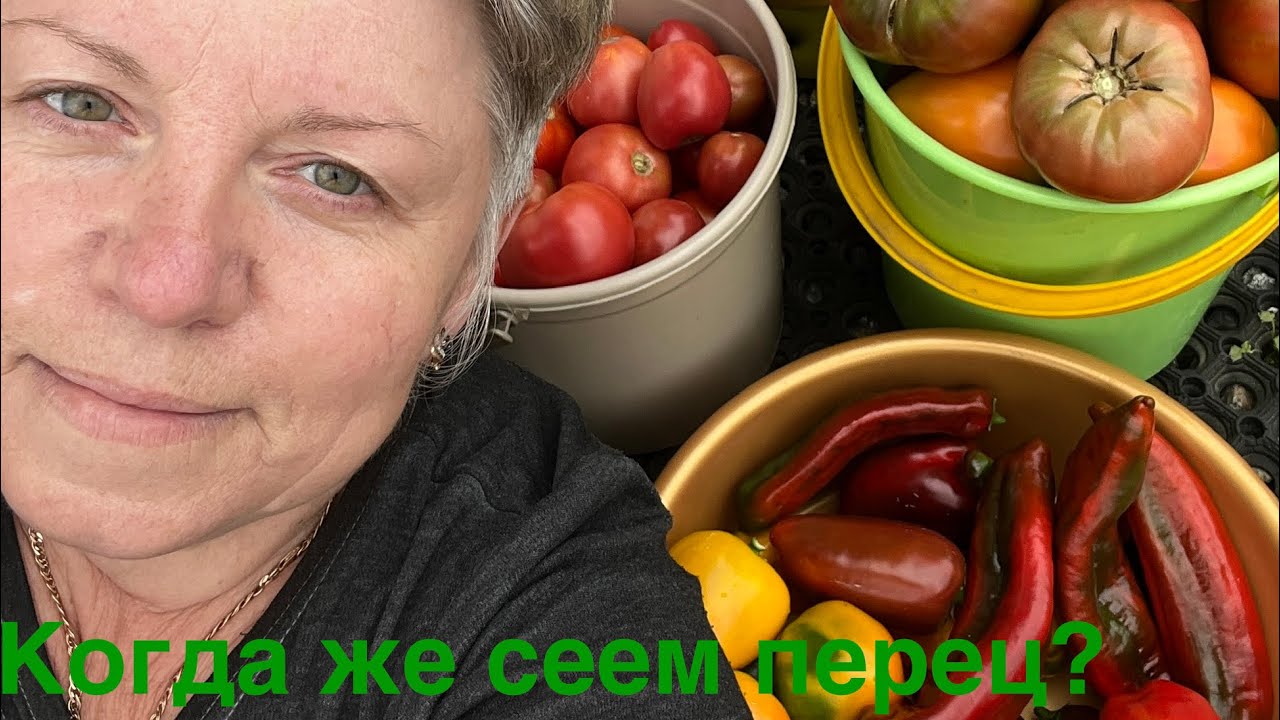 Когда же сеем перец ? Надежные сорта и гибриды#сладкийперец#перец