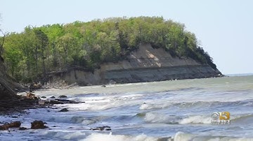 Moment Of Zen: Calvert Cliffs State Park