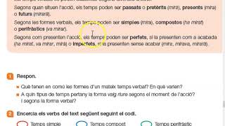 5º Primaria- Els temps verbals (Tema 11)