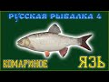 РР4 КОМАРИНОЕ ЯЗЬ / РУССКАЯ РЫБАЛКА 4 КОМАРИНОЕ ЯЗЬ / RUSSIAN FISHING 4 MOSQUITO LAKE IDE