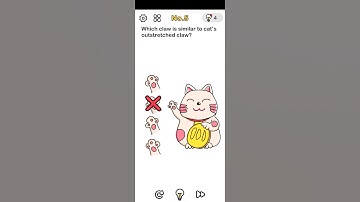 Brain out | which claw is similar to cat