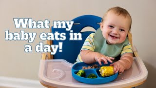 WHAT MY 8 MONTH OLD EATS IN A DAY | MEAL IDEAS | BABY LED WEANING