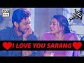 Watch I Love you " Sarang " Pukaar - ARY Digital Drama Online In Hd