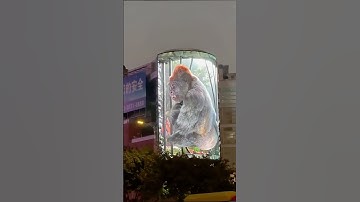 3D immersive outdoor led display/3D led screen for advertising #leddisplay #ledscreen #led