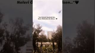 Instagram Whatsapp Kısa Durum Videoları