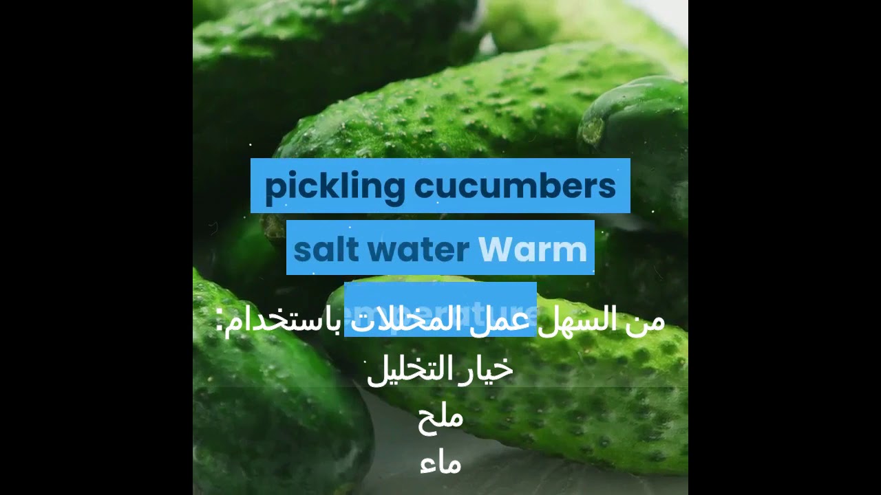 5-vegan-sources-of-probiotics فيديو هام جدا للصحة البدنية لو مهتم تابع و طبق