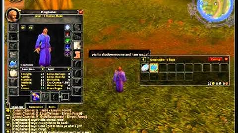 Eternal-wow item hacking!