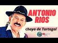 ANTONIO RIOS CLASICOS Y EXITOS EN VIVO CHAYA DE TARTAGAL 2023