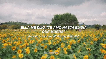 Rex Orange County - Sunflower sub español