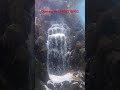 FRP Mountain fountain ⛲ for Aquarium...