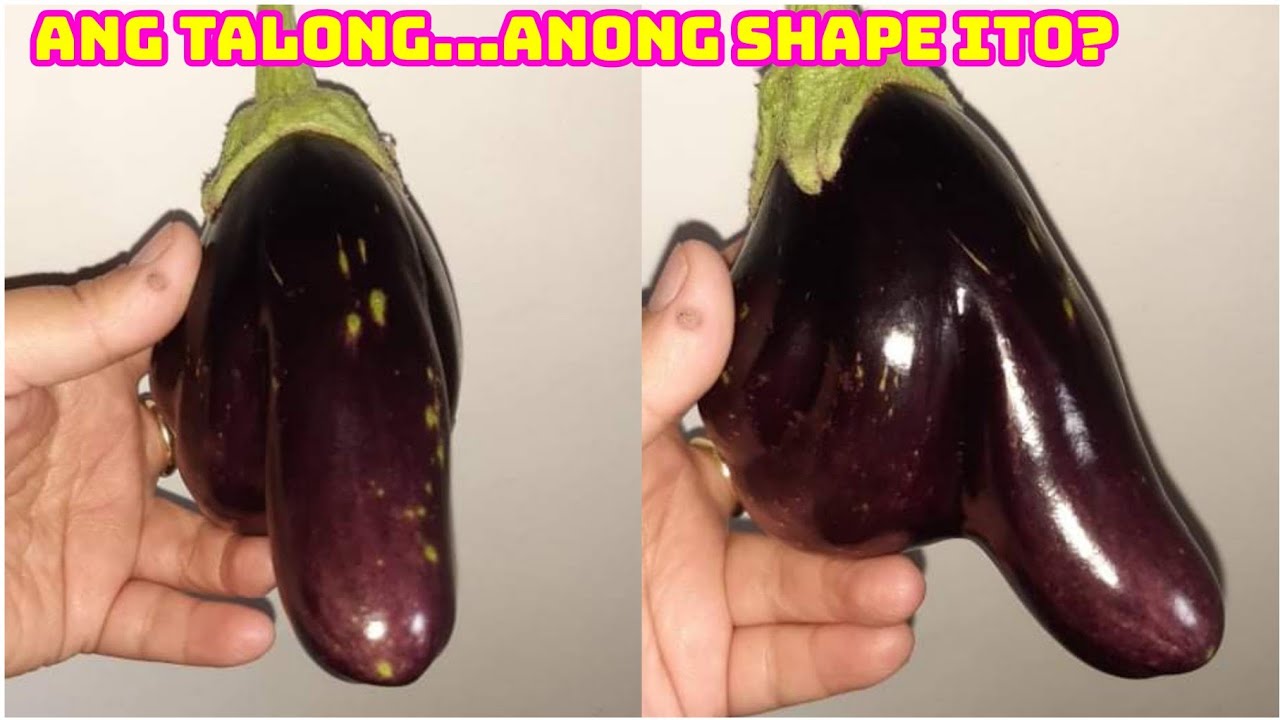 Funny & naughty eggplant shape - 1st harvest from our garden