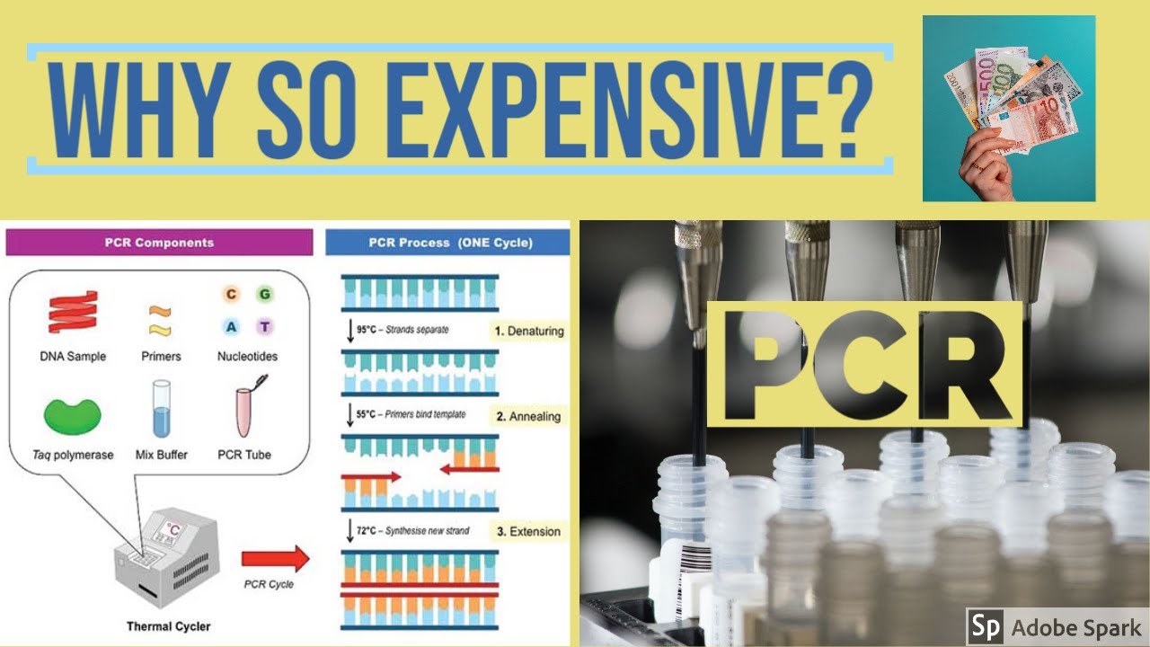 how are virus tests done? what is real time PCR (RT PCR)? why test so ...