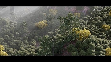 Houdini Redshift Terrain