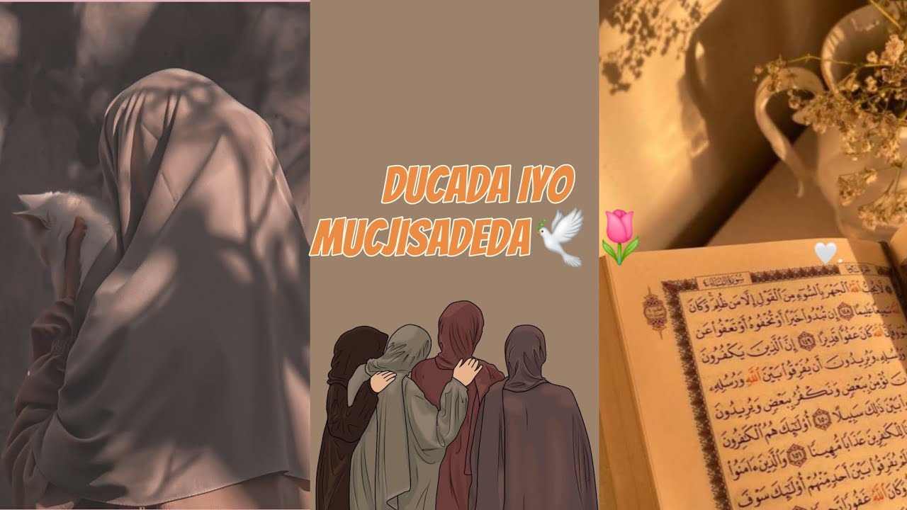 SIRTA NOLOSHA!❤️‍🩹