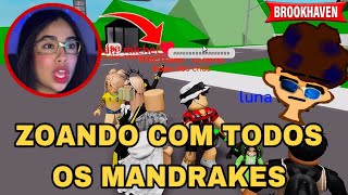 Irritei Todos Os Mandrakes De Brookhaven