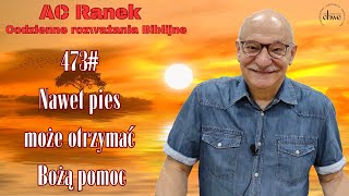 473. Nawet pies może otrzyma Bożą pomoc - pastor Andrzej Cyrikas