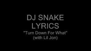Turn Down for What (Lyrics on the Street) screenshot 3