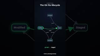 The Git file lifecycle #shorts #git #github