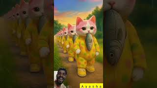 Doli Doli Dum Dum Cat Dance