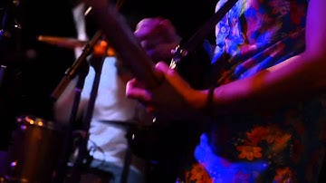 Animal Kingdom - Strange Attractor (Last.fm Sessions)