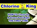 How to Clean a Green Pool - Chlorine King Pool Service