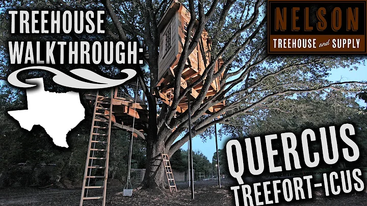 Treehouse Walkthrough: Quercus Treefort-icus