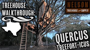 Treehouse Walkthrough: Quercus Treefort-icus